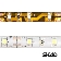      LED-RL 60SMD(3528)/m 4.8W/m 12V 5m*8*0.22mm    IP65 ()  LS604  1